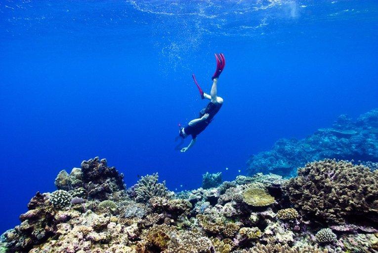 笑脸球的冒险之旅